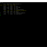 04 - Verify the Virtual Disks After Removing LSI Logic Parallel 04 - Verify the Virtual Disks After Removing LSI Logic Parallel