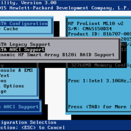 HP ProLiant ML10 v2 - BIOS Settings HP ProLiant ML10 v2 - BIOS Settings